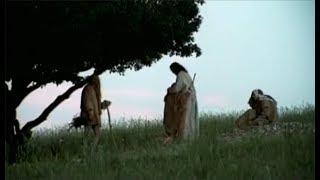 작은 형제, 아시시의 성 프란치스코 (Reluctant Saint - Francis of Assisi)