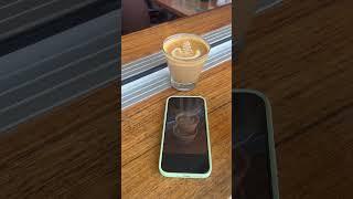 We should make this a thing #coffee #latteart #barista #cafe #coffeetime #espresso #video #video