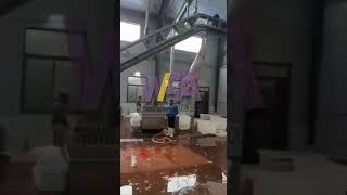 Pig slaughter house pork processing plant for pig slaughter line