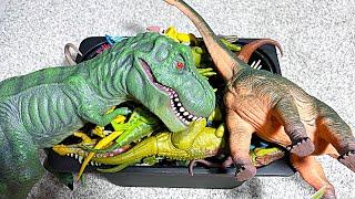 Box of Prehistoric Animals & Dinosaurs - Smilodon, Dimetrodon, Ichthyosaurus, Plesiosaurus, T-Rex