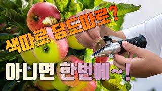 착색제 따로 당도제 따로 사용해야 할까요? 한번에 안되나요?