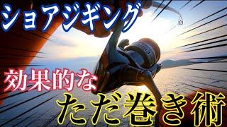 【ショアジギング】ただ巻きが強い条件とは？青物釣り