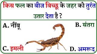 Gk In Hindi ll Gk Questions ll Gk Quiz ll Important Gk ll Genral Knowledge ll Best Gk ll Gk Question