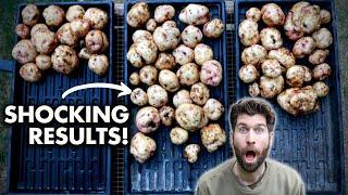 What the BEST soil for Growing Potatoes? MORE Experiment Results!