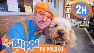 Blippi spotyka słodkie zwierzakiBlippi po polskuNauka i zabawa dla Dzieci