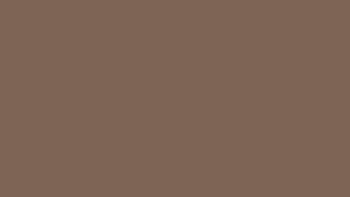 Dark Beige / Brown Skin color — One Hour [ 4K — Ultra HD — LED Light ] (@brainkeys)