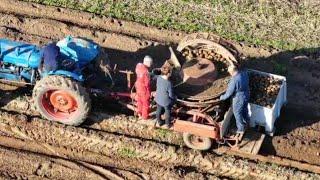 Part two of Massey Ferguson potato picker and diesel major