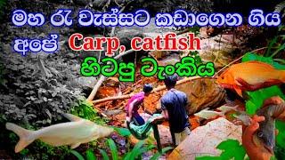 මහ රෑ මාලුත් එක්ක කඩන් ගිය ලොකු ටැංකිය | fish farm in sri lanka |sl anush | fish video