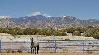 Magnificent High Desert Oasis in Santa Fe, New Mexico