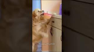 Funny