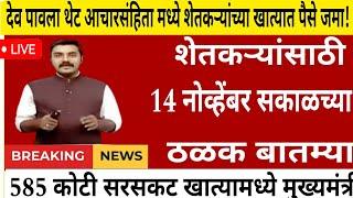 शेतकऱ्यांसाठी आज १४ नोव्हेंबर २०२४ झटपट ठळक बातम्या | पिक विमा मोठी बातमी कापूस कांदा Headlines News