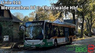 BBG Linie 918 | Werneuchen Bf - Eberswalde Hbf (2024)