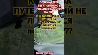 ЕВРЕИ БЕГУТ ИЗ ИЗРАИЛЯ #вдохновение #мудрыеслова #ЕВРЕИ # Израиль