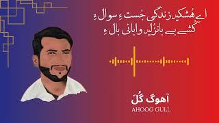 Ey Hoshkeen Zindagi Joste Sawal Ey || Ahoog Gull Balochi Poetry || RJ RB Baloch