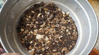 Don't make this mistake while composting  | How to process eggshells | When to add to compost pot