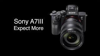 Sony A7III Camera Review