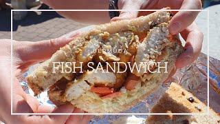 Bermuda's Best Fish Sandwich ¦ Cansu Ongel ¦ Bermuda 2021