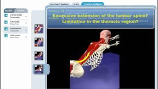 Yoga Locust Pose - Anatomy, Kinesiology and Posture
