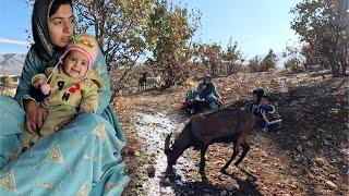 Single Mom’s Saffron Sprouts Bring Big Smiles For Her Family