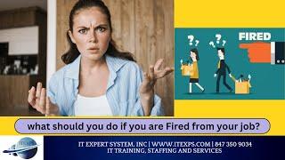 What to do when you lost the Job? | How to bounce back after losing Job? | IT Expert System