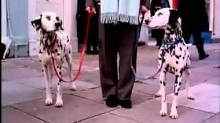 102 Dalmatians (2000) ~ Official Theatrical Trailer