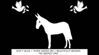 When Doves Cry / Beautifully Broken - Gov't Mule (The Deepest End)