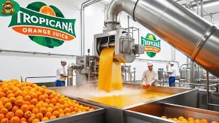 Orange Juice Mega Factory: Processing Millions of Bottle of Orange Juice in Factory