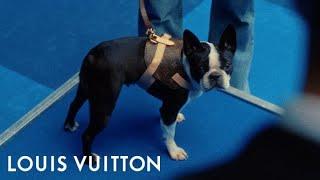 Best in Show | LOUIS VUITTON