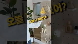 좁은공간 알뜰하게 활용하는 타공판 거울 벽면 인테리어 집꾸미기 팁