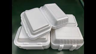 expanded polystyrene foam production line,disposable food box machine