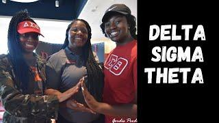 WSU Delta Sigma Theta Sorority Inc. (Yardshow 2017)