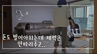 평범한가정의 예고입시/중1,중2. 4인가족/지금 이순간..충실하기