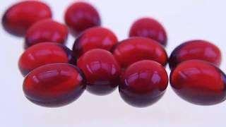 Superba Krill Oil  ⟹ Vitaminesperpost.nl