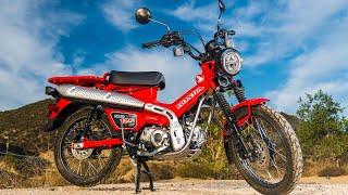Pro Circuit's Guru LOVES the Legendary Honda Trail 125