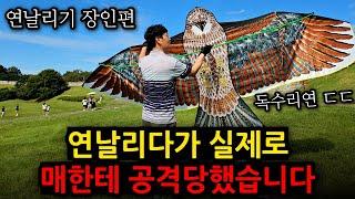 [긴급상황] 촬영 중에 매가 습격을? // 무려 70년 경력 연날리기 장인초대석, 발걸음을 멈춰 세우는 거대한 연의 정체는?