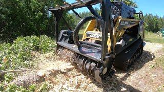 FARM OWNER SHOCKED TO SEE TRANSFORMATION FOR NEW GARDEN! BIG MUNCHIE DEVOURS GUM TREES!