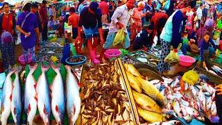 Cambodian Daily Early Morning Fish Market Scene   Routine Khmer People Buying Fish, Seafood & More