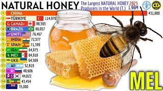 The Largest NATURAL HONEY Producers in the World