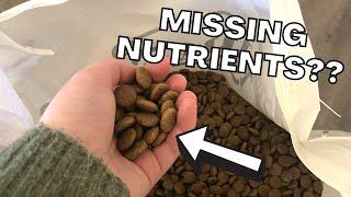 Nutro Natural Choice Dog Food Review (Watch BEFORE You Buy!)