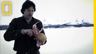 Fast Food | Life Below Zero