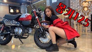 2022 Honda Monkey125 | Msx125 비교 | 몽키 시트고