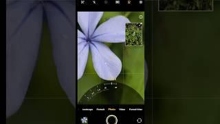 ViVO X200 Pro Photography Test Macro Photography Test Best Super macro Zoom #vivox200pro