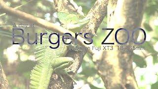 Come Explore Burgers Zoo With Me, Shot On The Fuji X T3 With 18 135mm Lens!