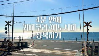 가마쿠라 에노시마 여행 | 빠르게 반나절 일정 공유 | 4분 만에 코스만 핵심 요약 | 감성없이 급한 vlog | 도쿄 근교 여행