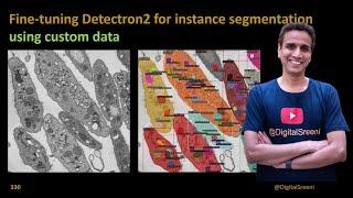 330 - Fine tuning Detectron2 for instance segmentation using custom data