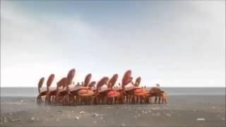 Crabs vs Seagull