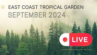 East Coast Tropical Garden Live Stream - Gorleston Great Yarmouth