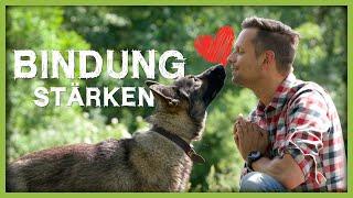 VORSICHT beim Kuscheln mit dem Hund: Wie viel ist gut?