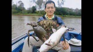 布里斯班河，暴雨捕泥蟹，喜获大丰收 Giant Mud Crab in Brisbane River