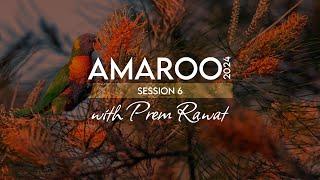 Amaroo 2024 Session 6 (A glimpse)